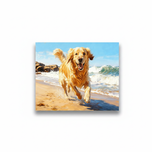 Beach Retriever paint by numbers
