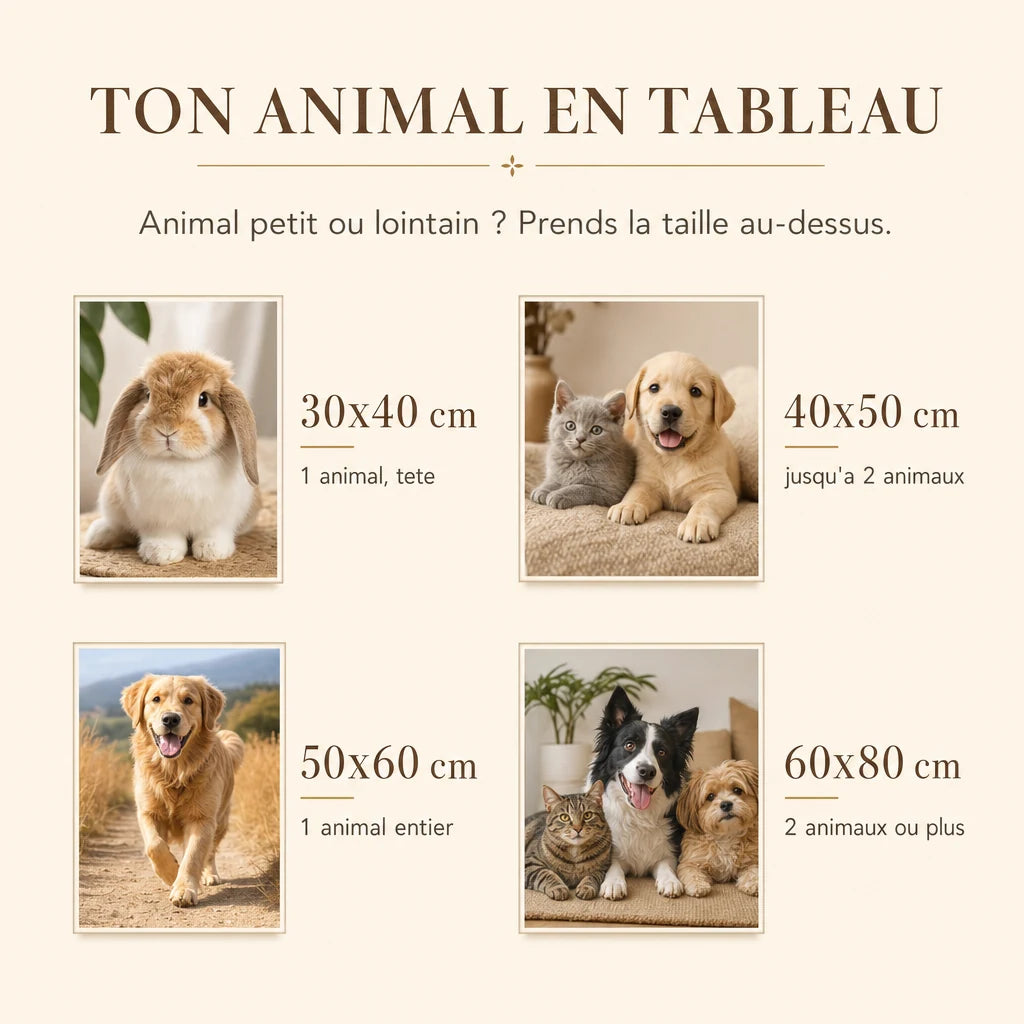 Guide des tailles — photos d'animaux