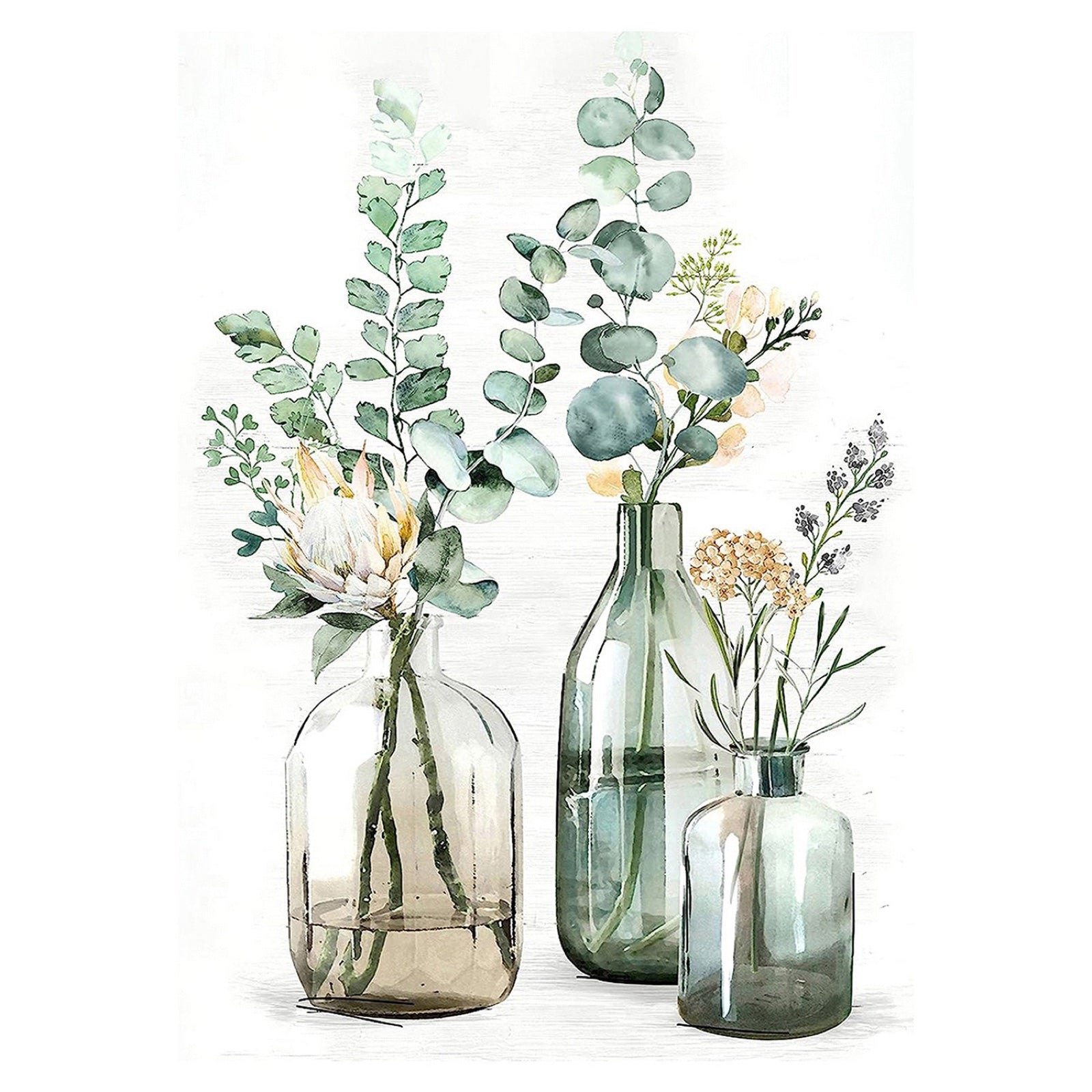 Eucalyptus en bocaux