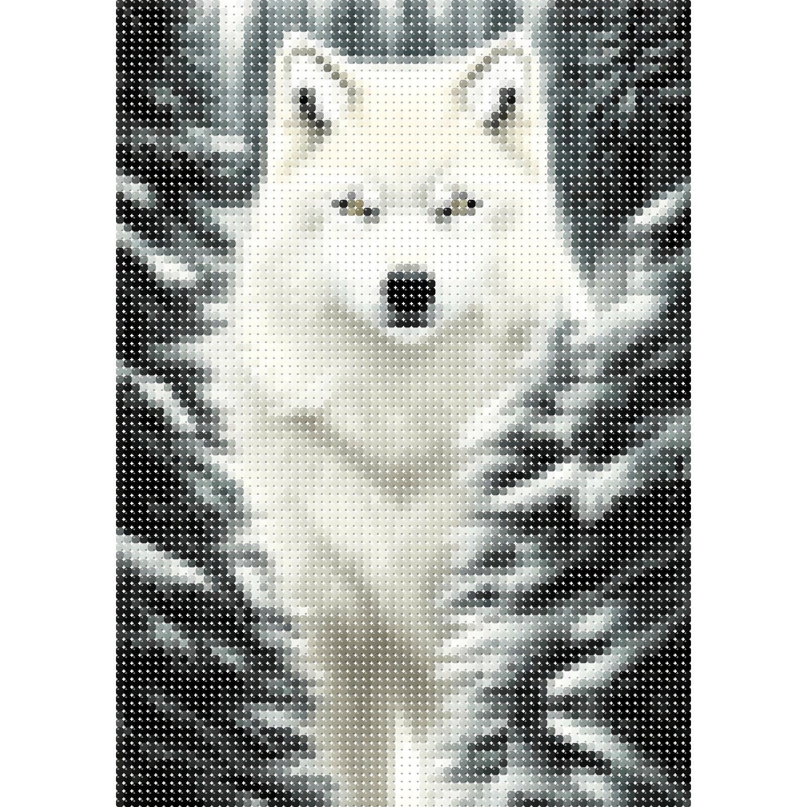 Loup blanc