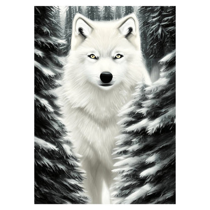 Loup blanc