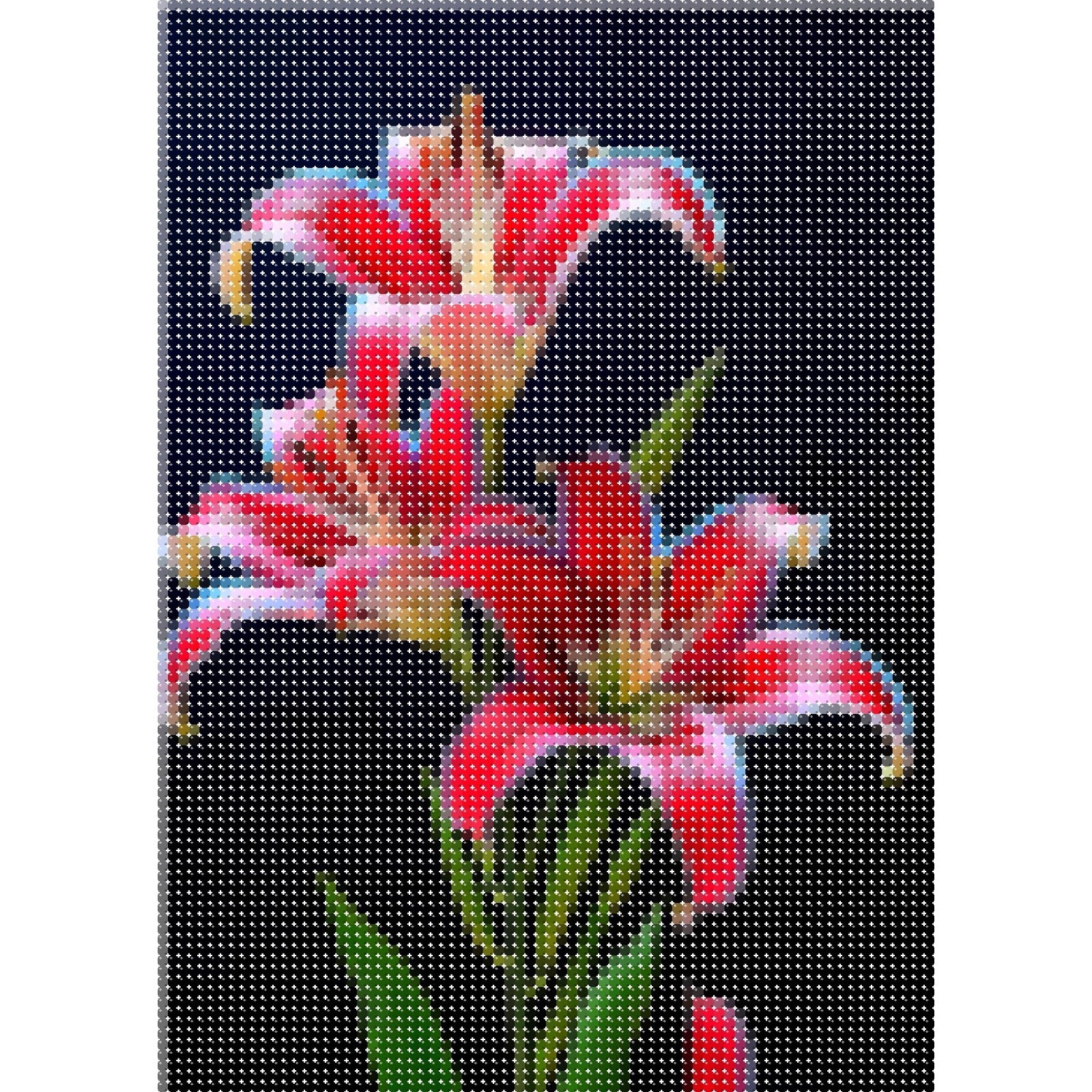 Lys rose