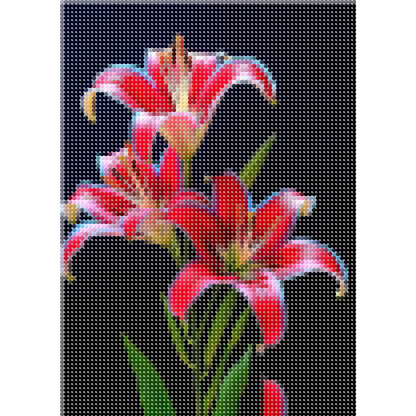 Lys rose