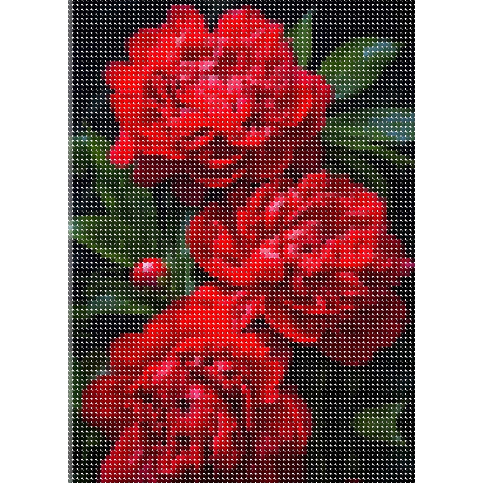 Pivoines rouges