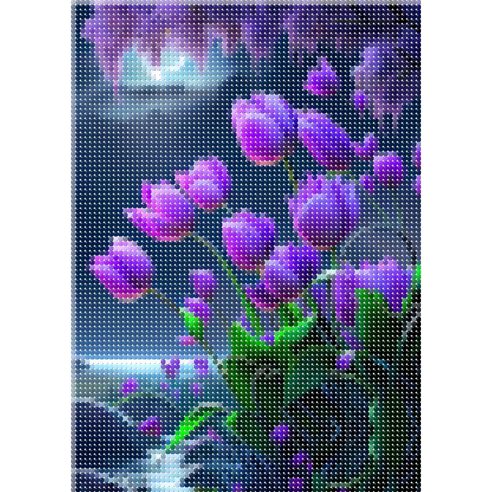 Tulipes violettes
