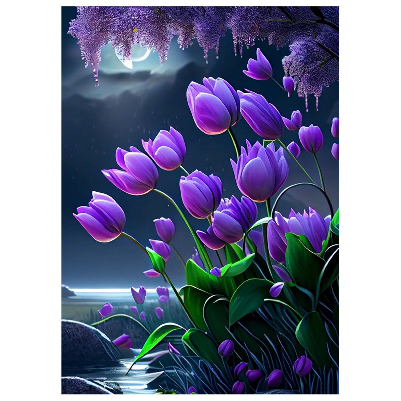Tulipes violettes